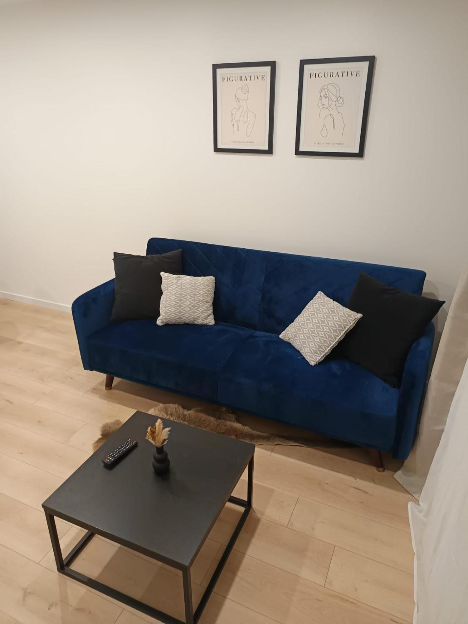 Superbe Appartement ! Saint-Etienne  Exterior foto